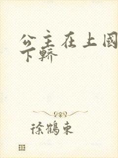 公主在上国师请下轿