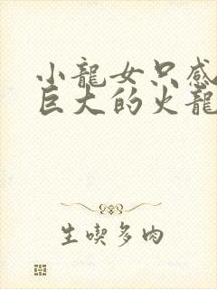 小龙女只感觉那巨大的火龙枪