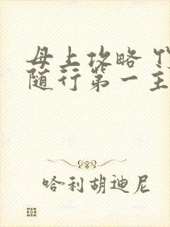 母上攻略 竹影随行第一主板