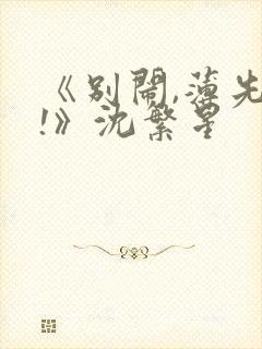 《别闹,薄先生!》沈繁星