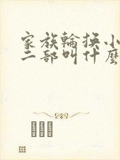 家族轮换小说第二部叫什么名字