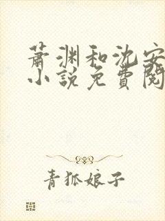 萧渊和沈安安的小说免费阅读