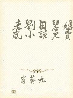 老刘日儿媳妇张岚小说免费阅读