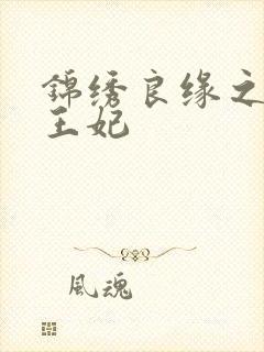 锦绣良缘之北地王妃