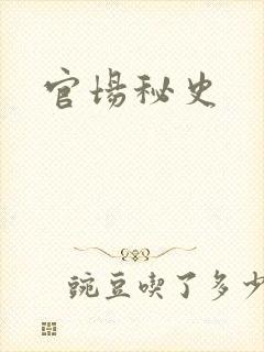 官场秘史