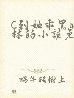 C到她乖黑暗森林的小说免费