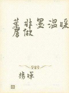 叶非墨温暖在厨房做