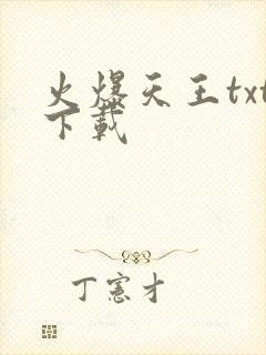 火爆天王txt下载