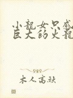 小龙女只感觉那巨大的火龙枪