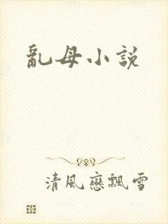 乱母小说