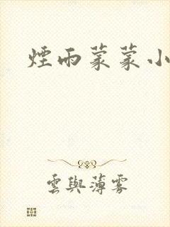 烟雨蒙蒙小说