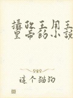 摄政王用玉髓整皇帝的小说