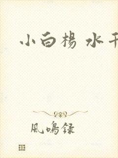 小白杨 水千丞