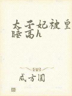 太子妃被皇上强睡高h