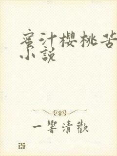 蜜汁樱桃苦咖啡小说