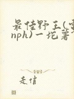 最佳野王(电竞nph)一坨薯饼