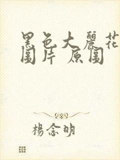 黑色大丽花真实图片 原图