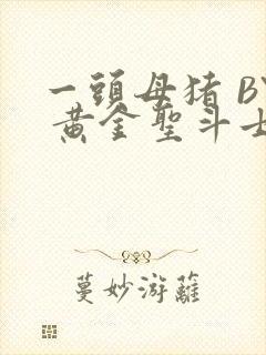 一头母猪 BY 黄金圣斗士