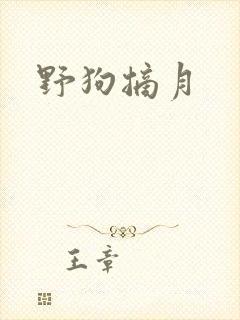 野狗摘月