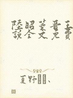 陆昭菱晋王的小说全文免费阅读