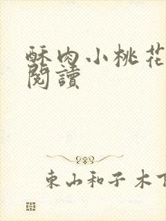 酥肉小桃花全文阅读