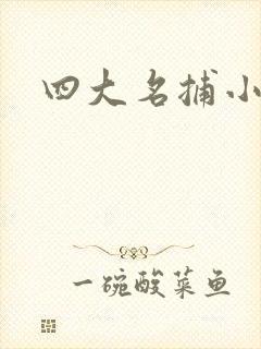 四大名捕小说