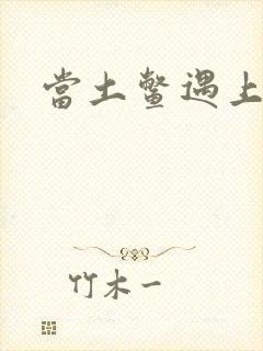 当土鳖遇上海龟