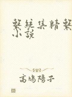 系统集精系统 小说