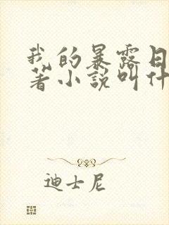 我的暴露日记原著小说叫什么