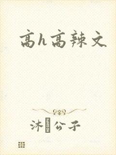 高h高辣文