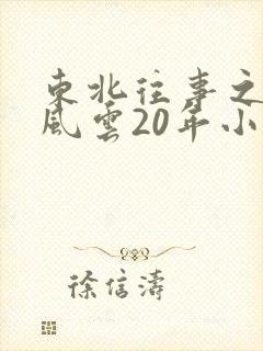 东北往事之黑道风云20年小说