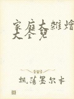 家庭大杂烩小说大全儿