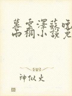 慕云泽苏晚晴夏雨桐小说免费阅读