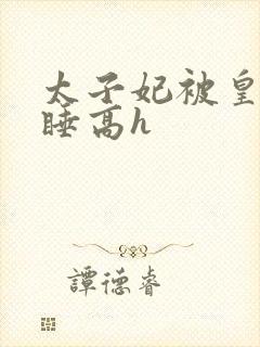 太子妃被皇上强睡高h