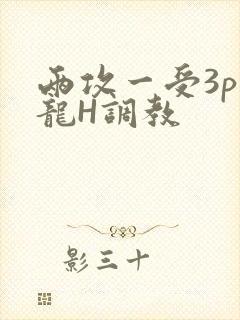 两攻一受3p双龙H调教
