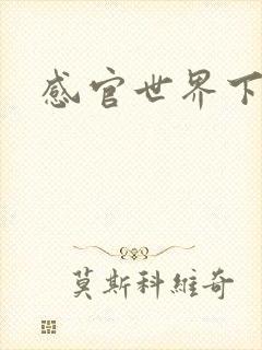 感官世界下载