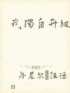 我独自升级小说