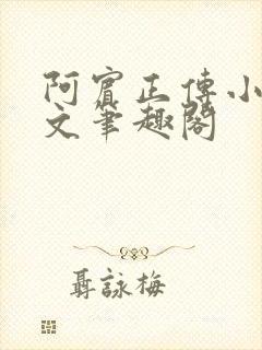 阿宾正传小说全文笔趣阁