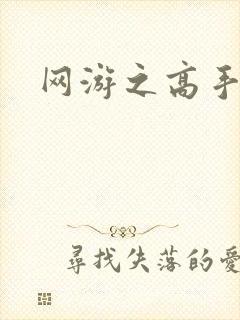 网游之高手寂寞