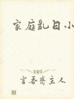 家庭乱日小说