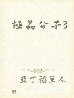 极品公子3