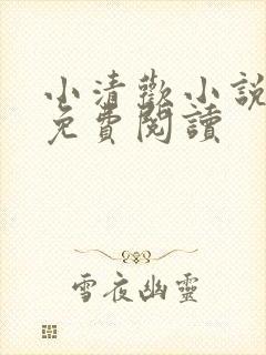 小清欢小说全文免费阅读