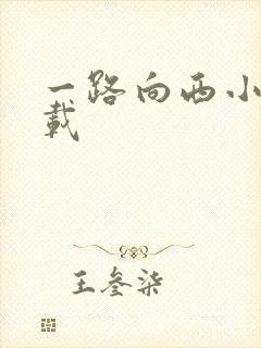 一路向西小说下载