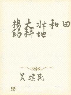 杨大壮和田桂花的耕地