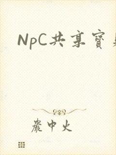 NpC共享宝贝