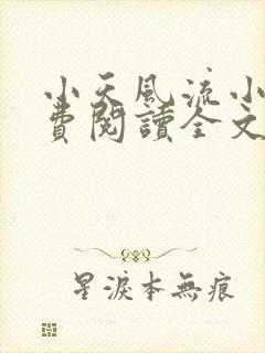 小天风流小说免费阅读全文最新章节