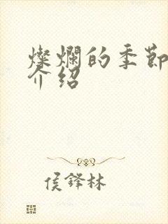 灿烂的季节剧情介绍