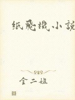 纸飞机小说