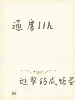 通房11h