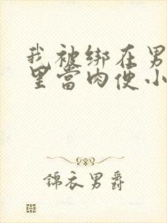 我被绑在男公厕里当肉便小说